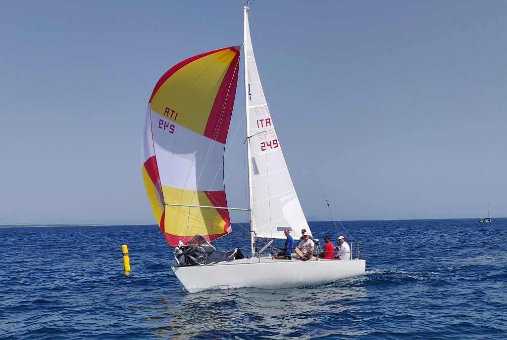 20220703 Ajmone Cat Dumbo s